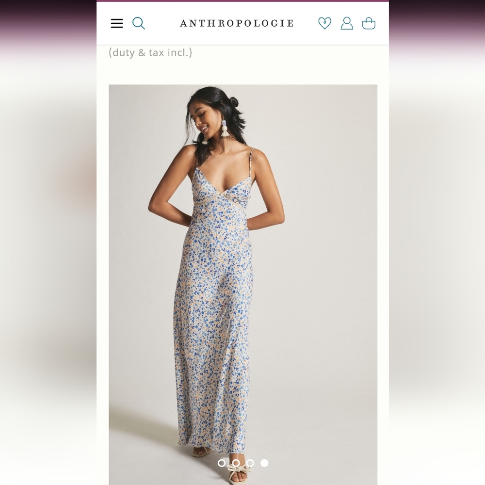 Anthropologie Blue and White Floral Backless Dress